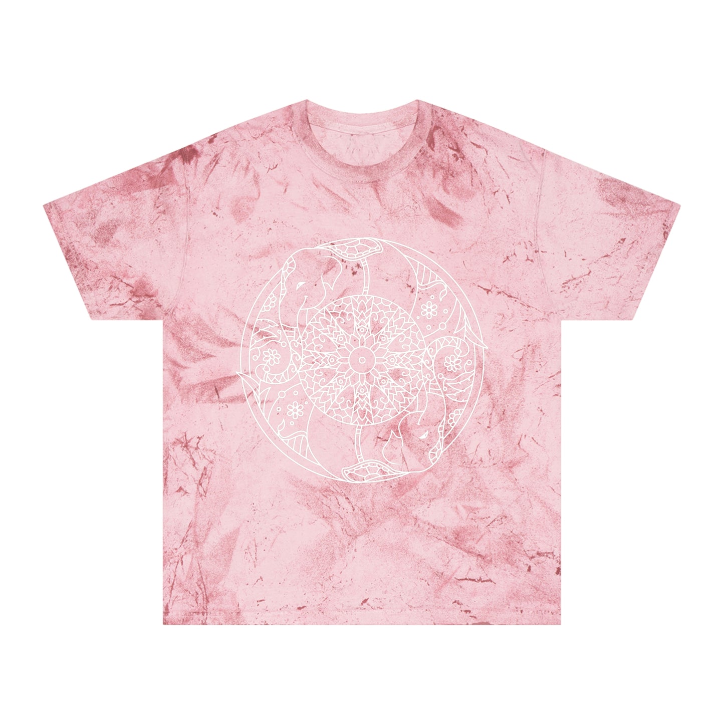 Unisex Color Blast T-Shirt